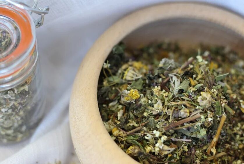 medicinal herbs for the treatment of fungus